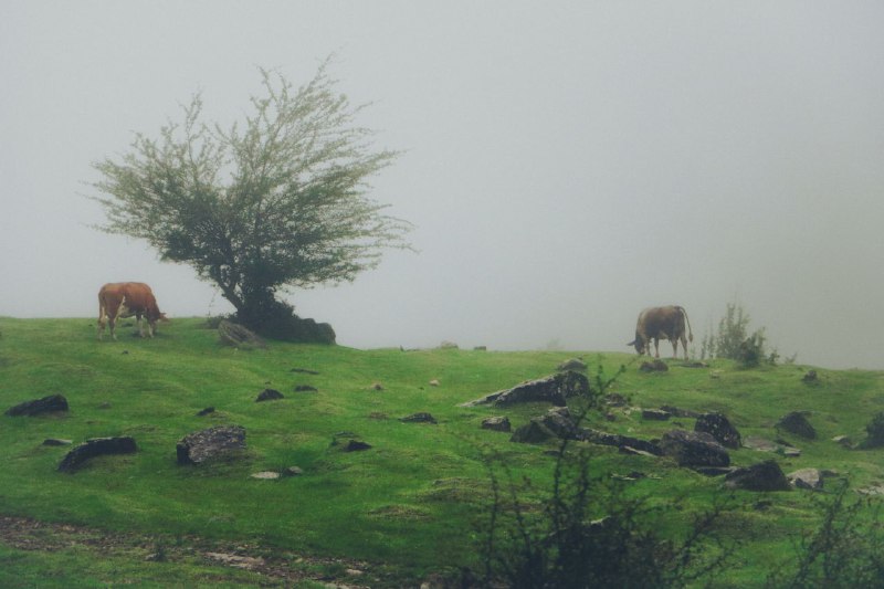 از سکوت که بگذریم.