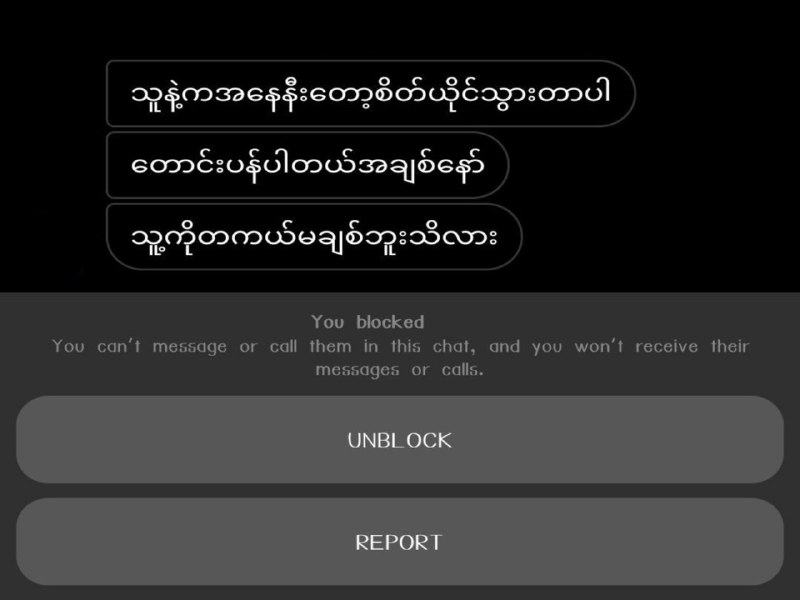 တကယ်လို့ ကိုယ်သာမင်းနဲ့အတူရှိရင် ဖြစ်လာစရာအကြောင်းမရှိဘူး မဟုတ်လား