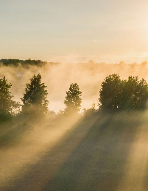 Schönen guten Morgen ***☀️***