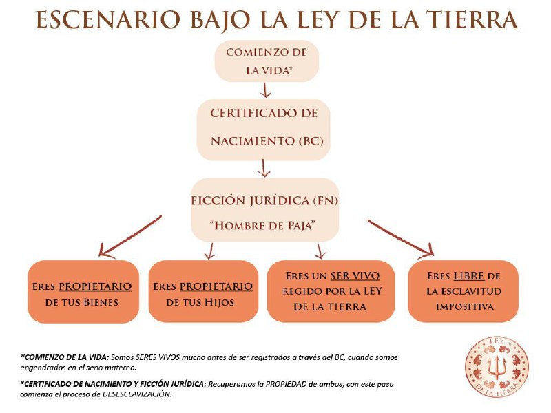 Este es el escenario que nos …