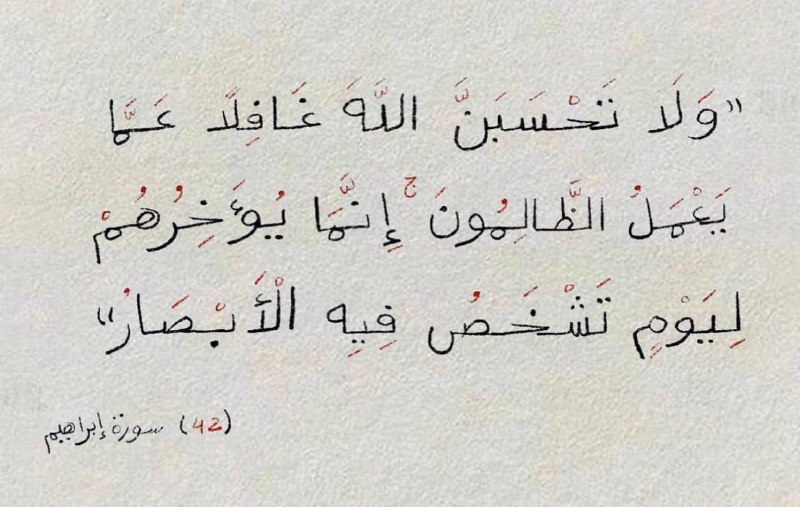 صدقه جاريه🤍🤍.
