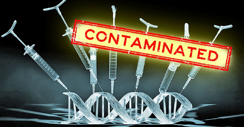 DNA Contamination in Vaccines: What Is …