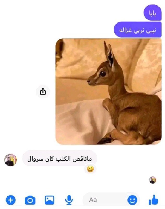 يتعافى المرء بـِـ أهله ***✨***: