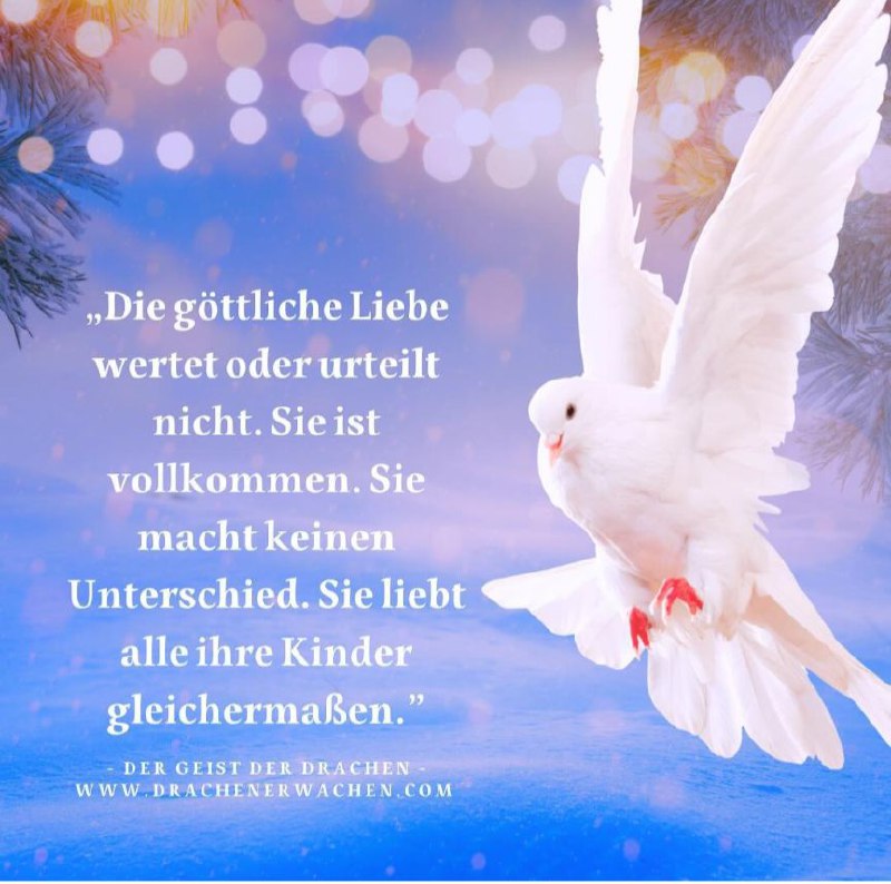 Lieblingstexte & Zitate 💕🦋