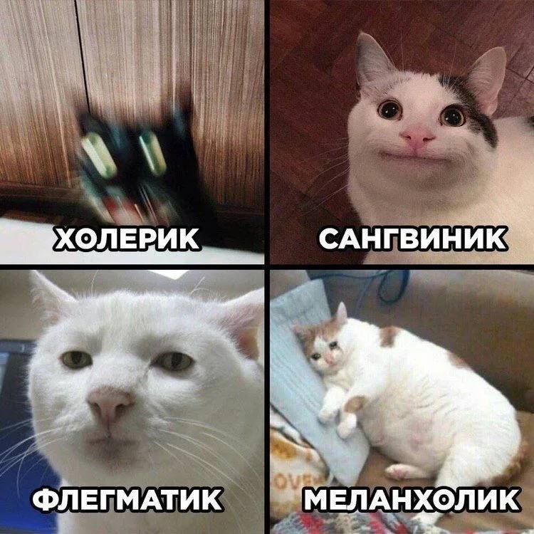 Это я на 4 курсе делаю …