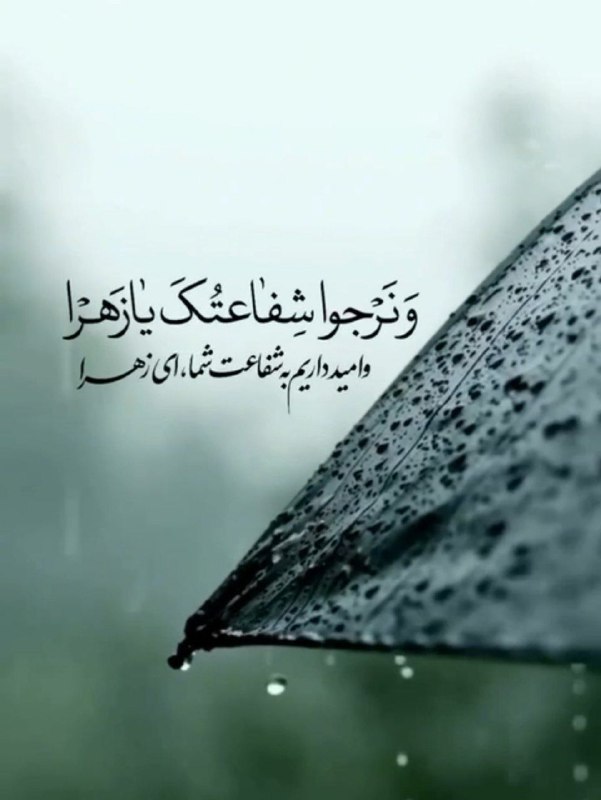 شهادت بی بی دو عالم حضرت …