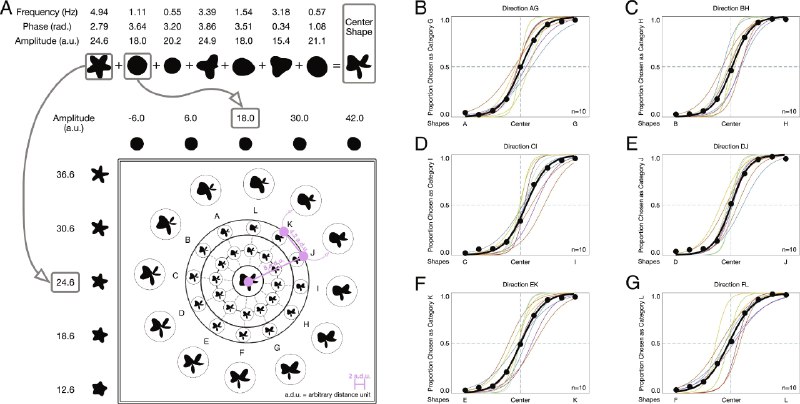 Как считают [авторы](https://www.pnas.org/doi/10.1073/pnas.2410445121) из *Rochester, Princeton* …