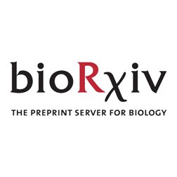 Авторы [заморозили](https://www.biorxiv.org/content/10.1101/2025.01.22.634384v1) срезы гиппокампа мыши методом …