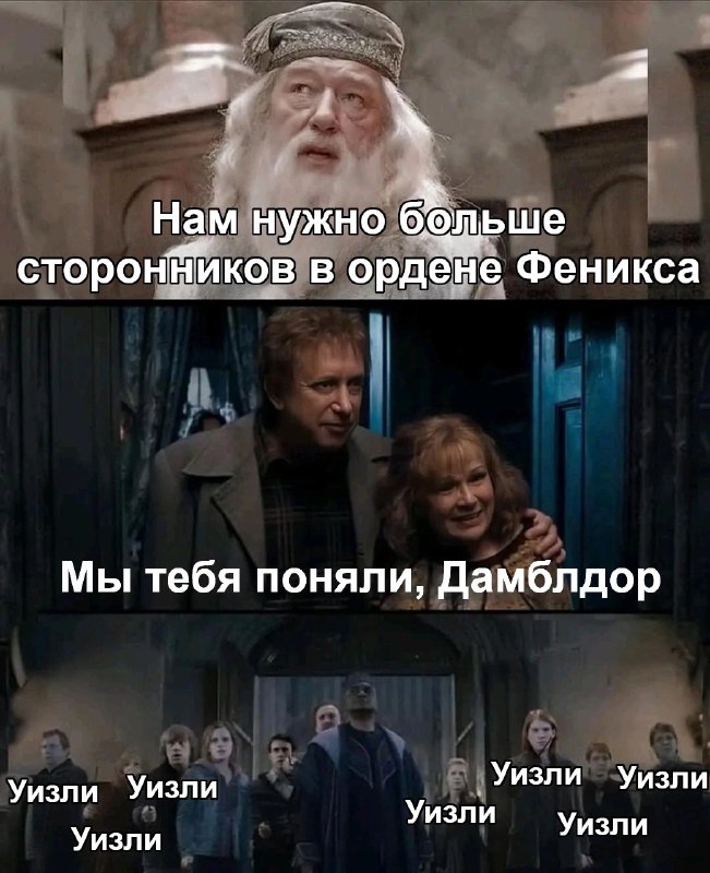 Свет Сириуса