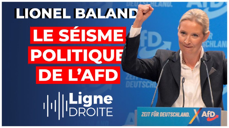 ***🤜*** 20% pour l'[#AFD](?q=%23AFD) en [#Allemagne](?q=%23Allemagne) …