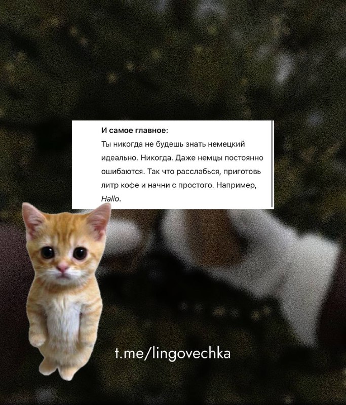 lingovechka | немецкий язык