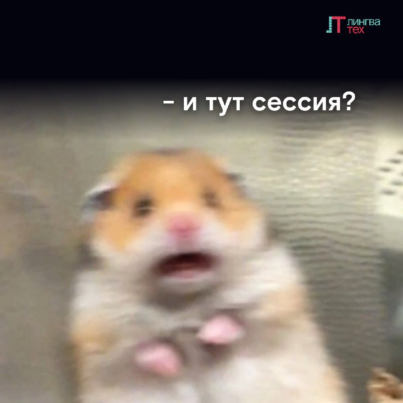 **Экспертная сессия**