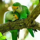 لـٖٖـۘۘـیـٖٖـۘۘـُِنِّـُّ℘ـʘ‌کُّـٖٖـۘۘـُِدَّوّنِّـُّ℘ـʘ‌یـٖٖـۘۘـُِ