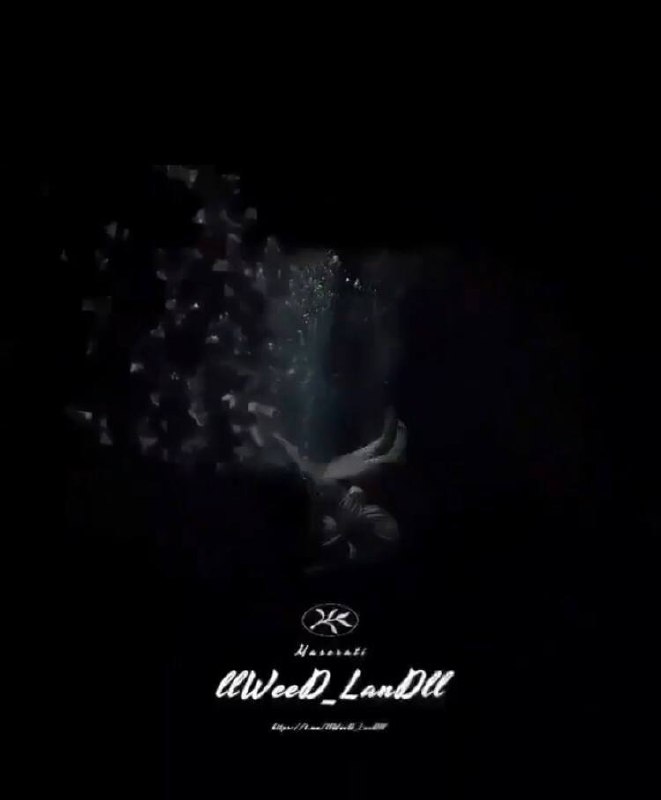 ***?*** ***?******☘️***WEED LAND***☘️******?*** چنل