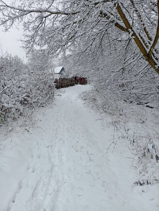 Зимняя сказка в фотографиях подписчицы ***❄️***