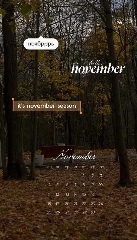 Hello, November ***🍂***