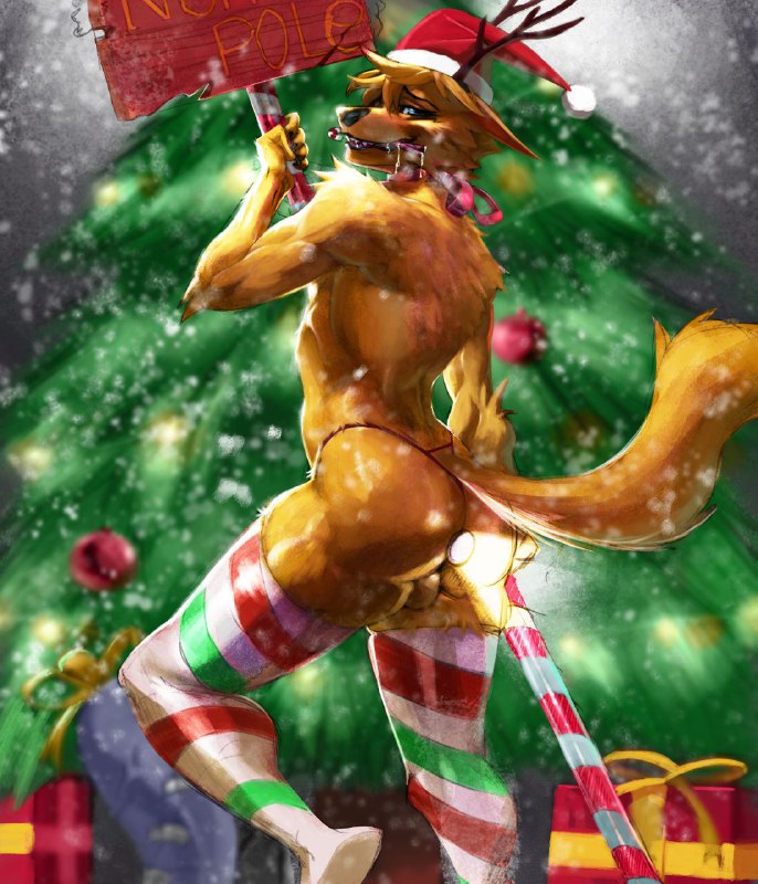 YCH: North Pole is this way