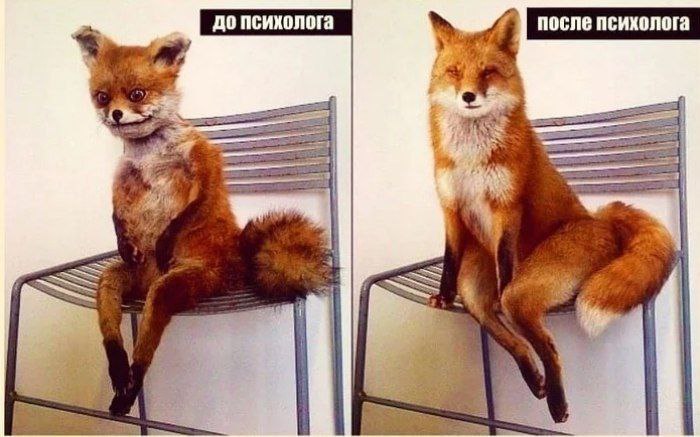 Трансформация с Лирой Высоцкой