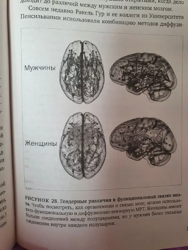 ЛИСИЦА. Книги.Бизнес.Музыка.Нейробиология.Психология.Отношения.Секс