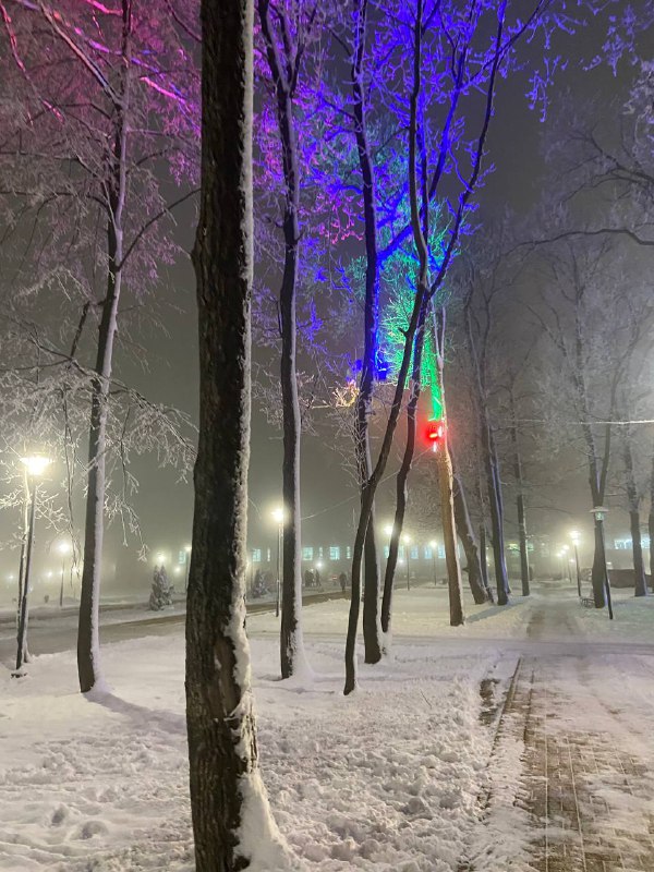 лиссик