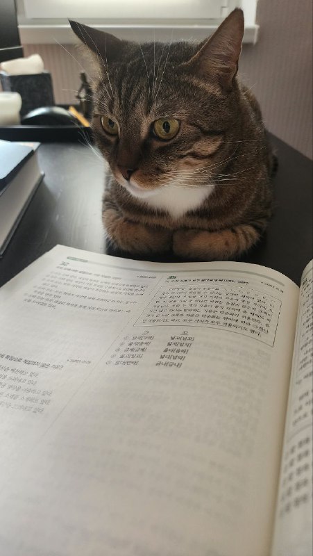 Тимофей решил, что, видимо, слишком сильно …