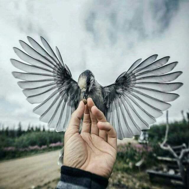 عندما تكتب!!.