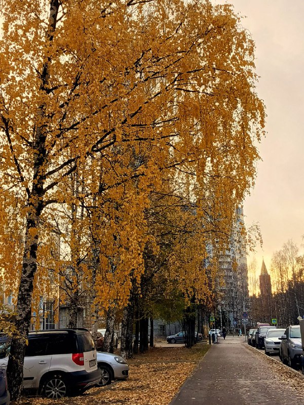 Соня|не только о книгах