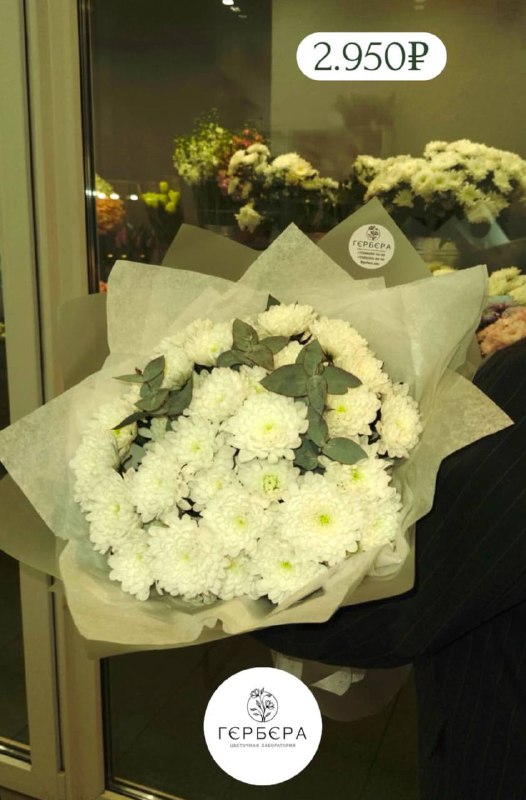 Что на нашей витрине сегодня ***❓***