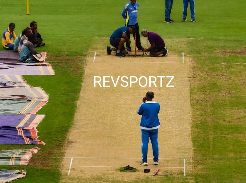 **Pitch for the 1st Test between …