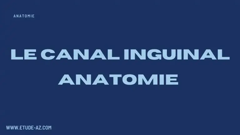 ***💥******💥******💥******🔥***-Le canal inguinal anatomie [#Anatomie](?q=%23Anatomie)