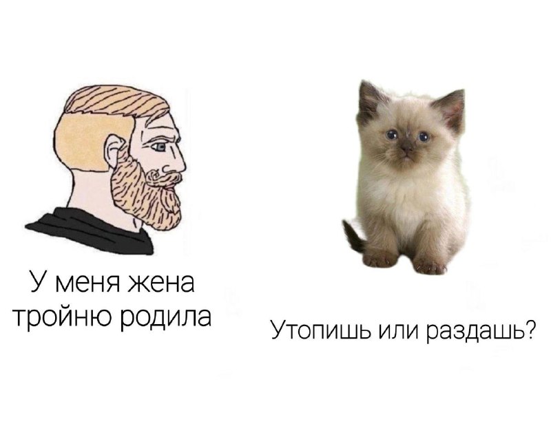 лившиц позвонит