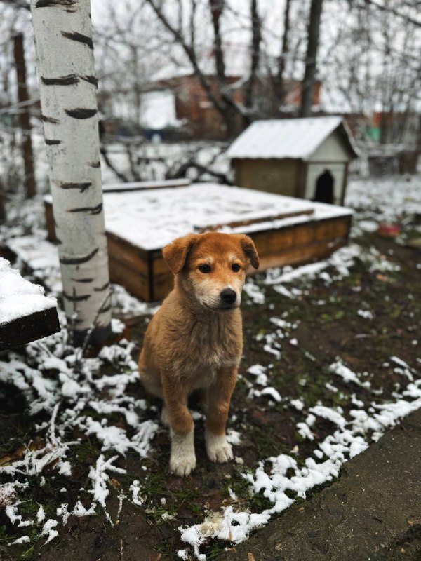 С любовью,Лизок☀️