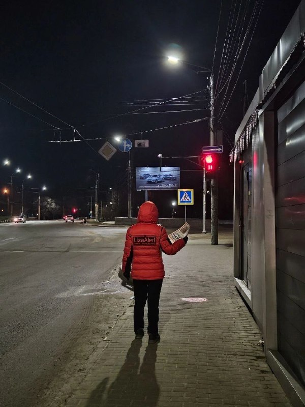 ПСО «ЛизаАлерт» Воронежской области (канал)