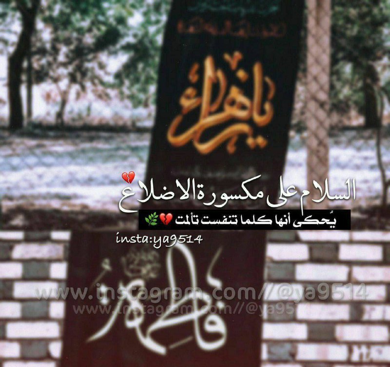 ***?*** ~ هل هذه [#الزهراء](?q=%23%D8%A7%D9%84%D8%B2%D9%87%D8%B1%D8%A7%D8%A1) ... …