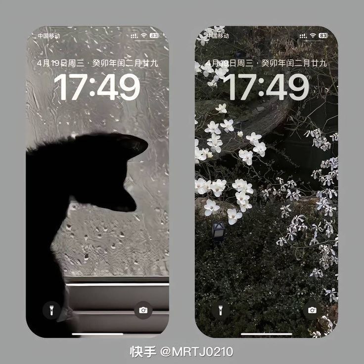 [⊹ تُعجبك هيج خِلفيات لِـلشاشة***?******❔***.](https://t.me/+ap2AEMYN8nE5MTRh)