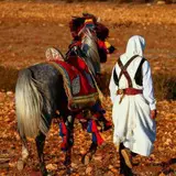 - **تُوجيه و نقِيم قناتك من ٩** [**✪**](https://t.me/IUI5I) .