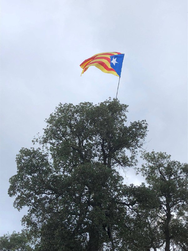 Els espanyolistes arrenquen dues estelades penjades a dos arbres de Santa Cristina d'Aro i immediatament els independentistes en pengen quatre