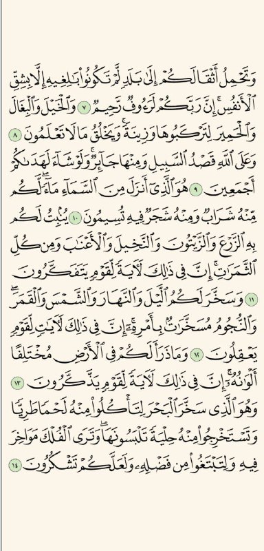 من اتم قراءة الورد فليتفاعل بأحببته …
