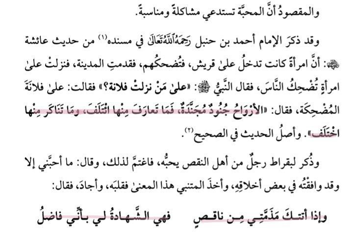 الشَّافِعِيَّةُ .