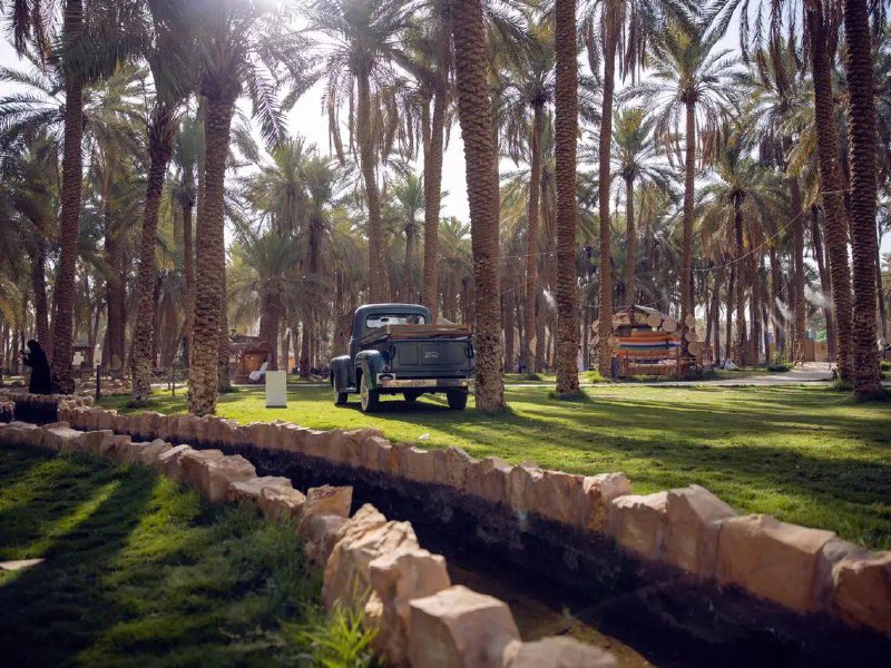 مشاريع السعودية