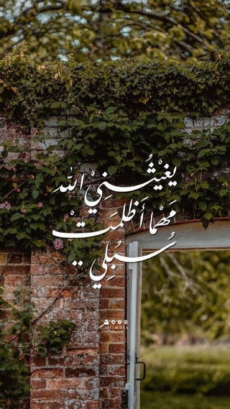 لنرتقي معاً