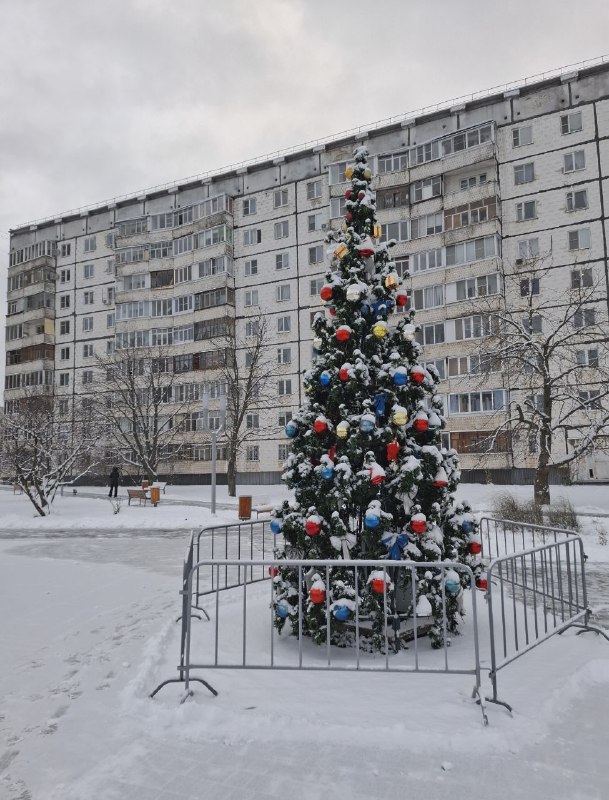 Мальчик хочет в Тамбов