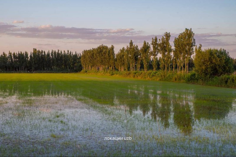 Локации uzb