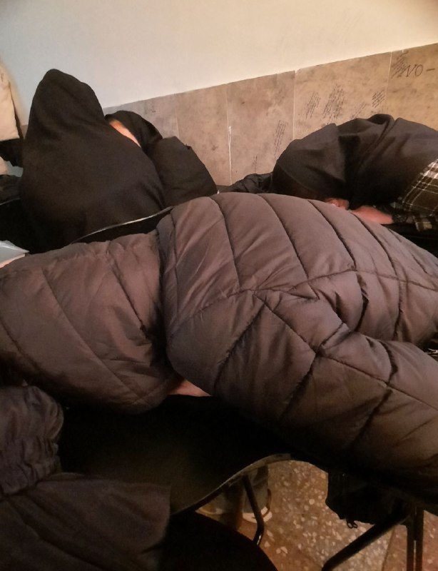 دانچگاه: