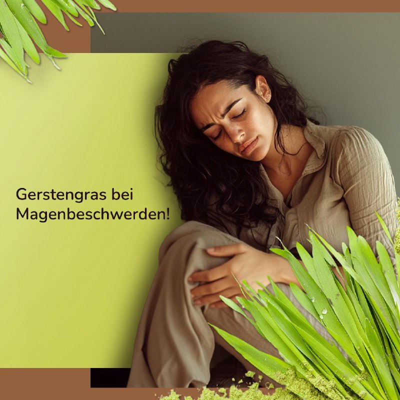 *****🌿*** Gerstengras bei Magenbeschwerden! ***🌿*****