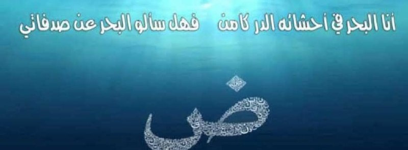 لو لم تكن أمّ اللغات هي …