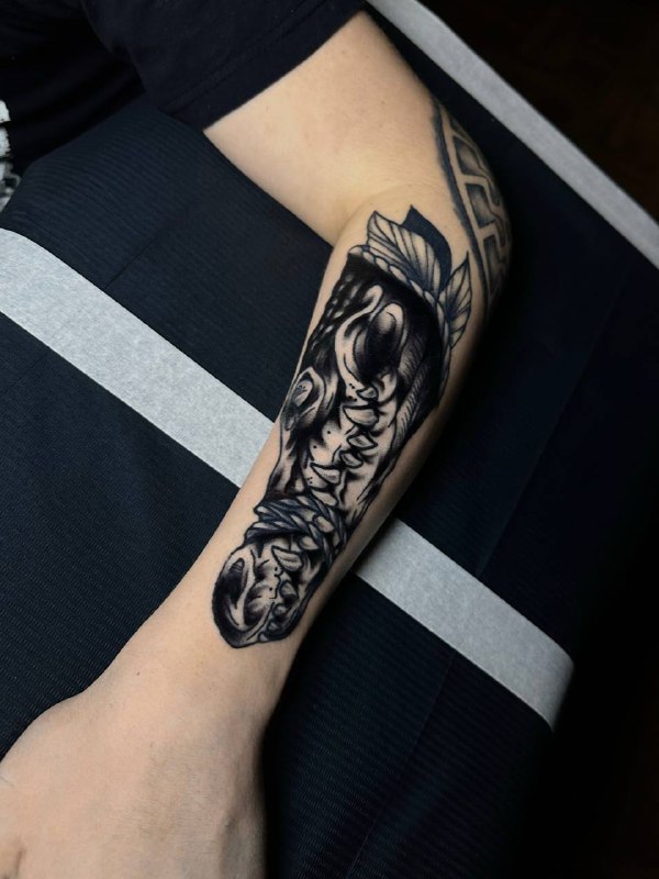 dobil staruyou tatuhu
