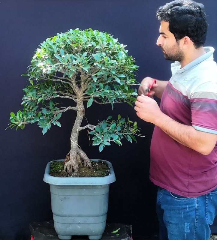 سلام و درود به همه دوستان …