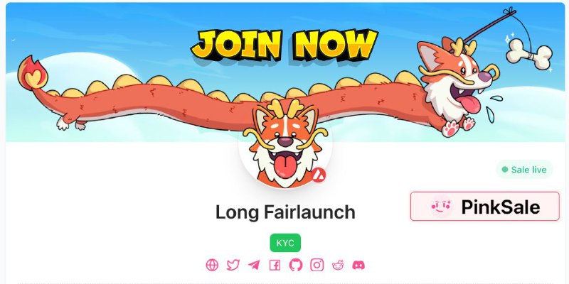 ***🔥*****LONG FAIRLAUNCH ON PINKSALE !*****🔥***