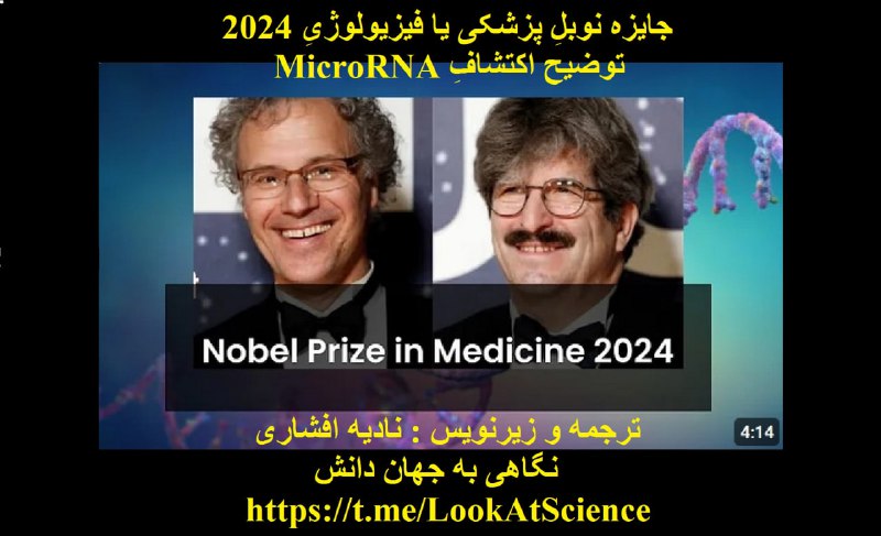 **جایزۀ نوبلِ پزشکی یا فیزیولوژیِ 2024 …